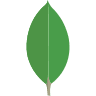 Picture of the language/framework